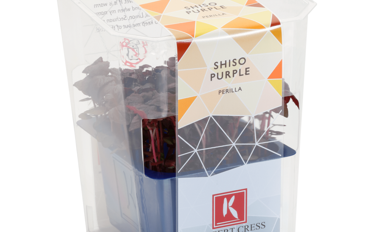 Cresssingles Shiso Purple